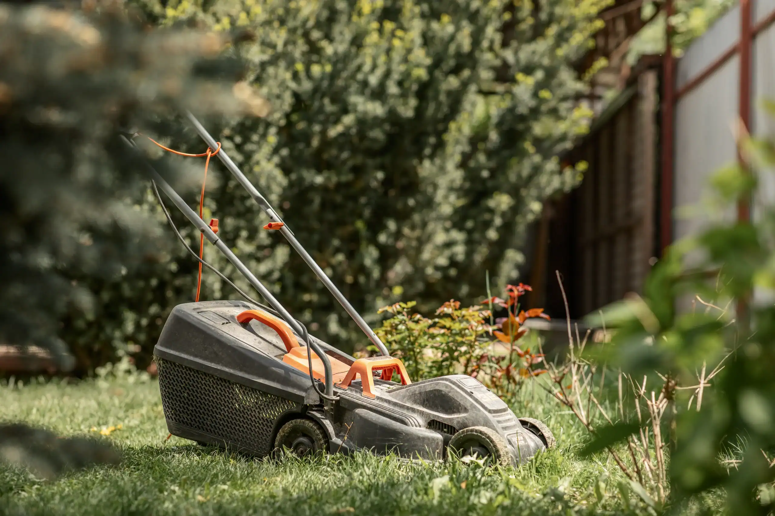 A black and orange lawn mower from equipment rental St. Lucie sits on green grass in a garden, surrounded by leafy plants and blurred greenery in the background on a sunny FL day.