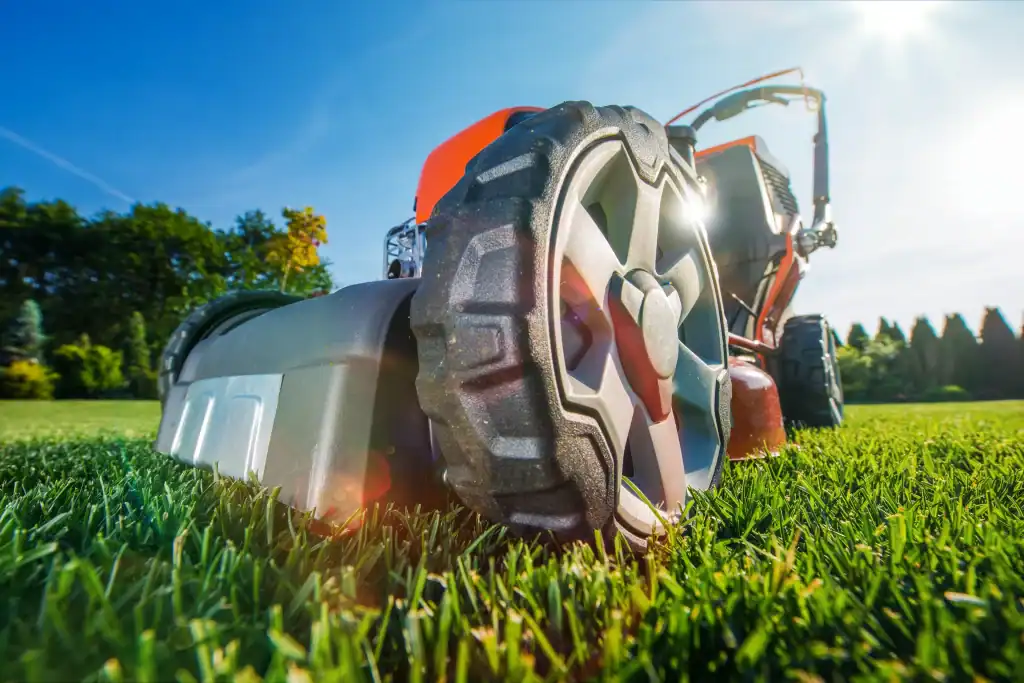 Close-up view of a lawn mower wheel on green grass in bright sunlight, with trees and blue sky in the background—perfect for those seeking equipment rental in St. Lucie & Orange County, FL.